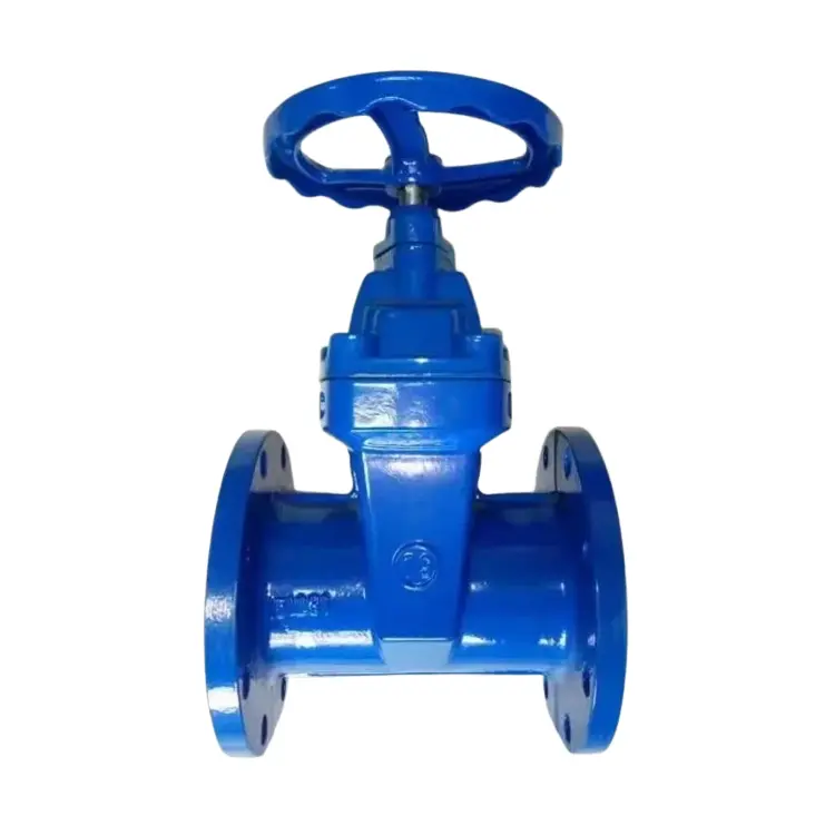 Fier de fier ductile ascuns tijă moale de garnitură moale de poartă de poartă