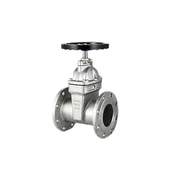 Oțel inoxidabil ascuns de garnitură moale de garnitură de poartă de poartă